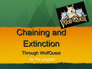 Chaining and Extinction Through WolfQuest By: The Longtails  