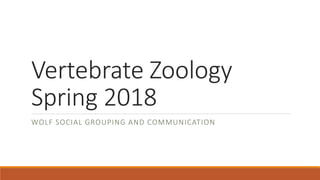 Vertebrate Zoology
Spring 2018
WOLF SOCIAL GROUPING AND COMMUNICATION
 
