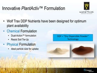 Ddp Formulation Model Keys to Successful Wheat Production | PPTX