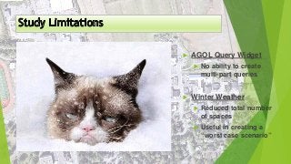  AGOL Query Widget
 No ability to create
multi-part queries
 Winter Weather
 Reduced total number
of spaces
 Useful in creating a
“worst case scenario”
 
