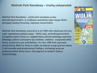 Wolioski Park Narodowy – trochę ciekawostek


Wolioski Park Narodowy – polski park narodowy w woj.
zachodniopomorskim, w środkowo-zachodniej części wyspy Wolin,
pomiędzy Zatoką Pomorską i Zalewem Szczecioskim.


Wolioski Park Narodowy utworzony w od 1960 roku obejmuje ochroną
częśd największej polskiej wyspy – Wolin (woj. zachodniopomorskie).
Szczególne walory Parku to: najpiękniejszy odcinek polskiego wybrzeża
klifowego, dobrze zachowane lasy bukowe, unikalna - wyspiarska delta
Świny, przybrzeżny pas wód Bałtyku. Do roku 1996 Park zajmował
powierzchnię 4844 ha, kiedy to udało się włączyd w jego granice obszar
1 mili morskiej wód przybrzeżnych Bałtyku, archipelag wysp we
wstecznej delcie Świny wraz z otaczającymi je wodami Zalewu
Szczecioskiego.
 