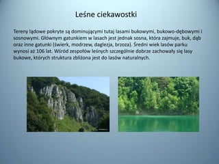 Leśne ciekawostki
Tereny lądowe pokryte są dominującymi tutaj lasami bukowymi, bukowo-dębowymi i
sosnowymi. Głównym gatunkiem w lasach jest jednak sosna, która zajmuje, buk, dąb
oraz inne gatunki (świerk, modrzew, daglezja, brzoza). Średni wiek lasów parku
wynosi aż 106 lat. Wśród zespołów leśnych szczególnie dobrze zachowały się lasy
bukowe, których struktura zbliżona jest do lasów naturalnych.
 