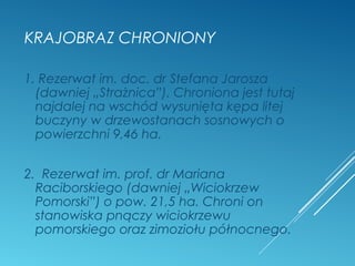 KRAJOBRAZ CHRONIONY
1. Rezerwat im. doc. dr Stefana Jarosza
(dawniej „Strażnica”). Chroniona jest tutaj
najdalej na wschód wysunięta kępa litej
buczyny w drzewostanach sosnowych o
powierzchni 9,46 ha.
2.  Rezerwat im. prof. dr Mariana
Raciborskiego (dawniej „Wiciokrzew
Pomorski”) o pow. 21,5 ha. Chroni on
stanowiska pnączy wiciokrzewu
pomorskiego oraz zimoziołu północnego.
 