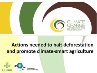 Actions needed to halt deforestation and promote climate-smart agriculture 