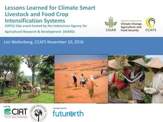 Lini Wollenberg, CCAFS November 10, 2016
Lessons Learned for Climate Smart
Livestock and Food Crop
Intensification Systems
COP22 Side event hosted by the Indonesian Agency for
Agricultural Research & Development (IAARD)
 