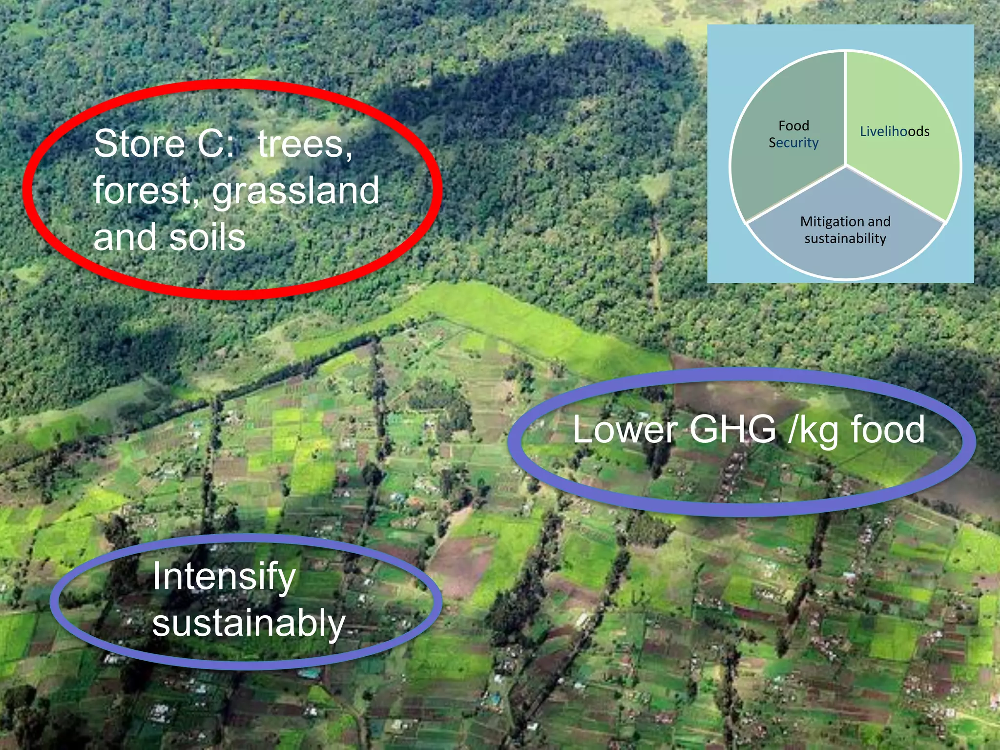 Food        Livelihoods
Store C: trees,              Security


forest, grassland
                                 Mitigation and
and soils                        sustainability




                    Lower GHG /kg food


   Intensify
   sustainably
 