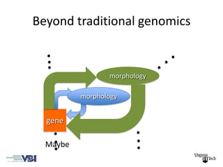 Beyond traditional genomics


                 morphology

          morphology


  gene

  Maybe
 