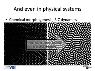 And even in physical systems
• Chemical morphogenesis, B-Z dynamics
 