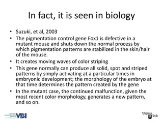 In fact, it is seen in biology
• Suzuki, et al, 2003
• The pigmentation control gene Fox1 is defective in a
  mutant mouse and shuts down the normal process by
  which pigmentation patterns are stabilized in the skin/hair
  of the mouse.
• It creates moving waves of color striping
• This gene normally can produce all solid, spot and striped
  patterns by simply activating at a particular times in
  embryonic development; the morphology of the embryo at
  that time determines the pattern created by the gene
• In the mutant case, the continued malfunction, given the
  most recent color morphology, generates a new pattern,
  and so on.
 