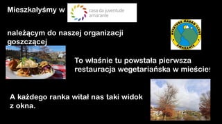 Wolontariat Amarante - Wutowicz, Piątek, Notter.pptx.pdf