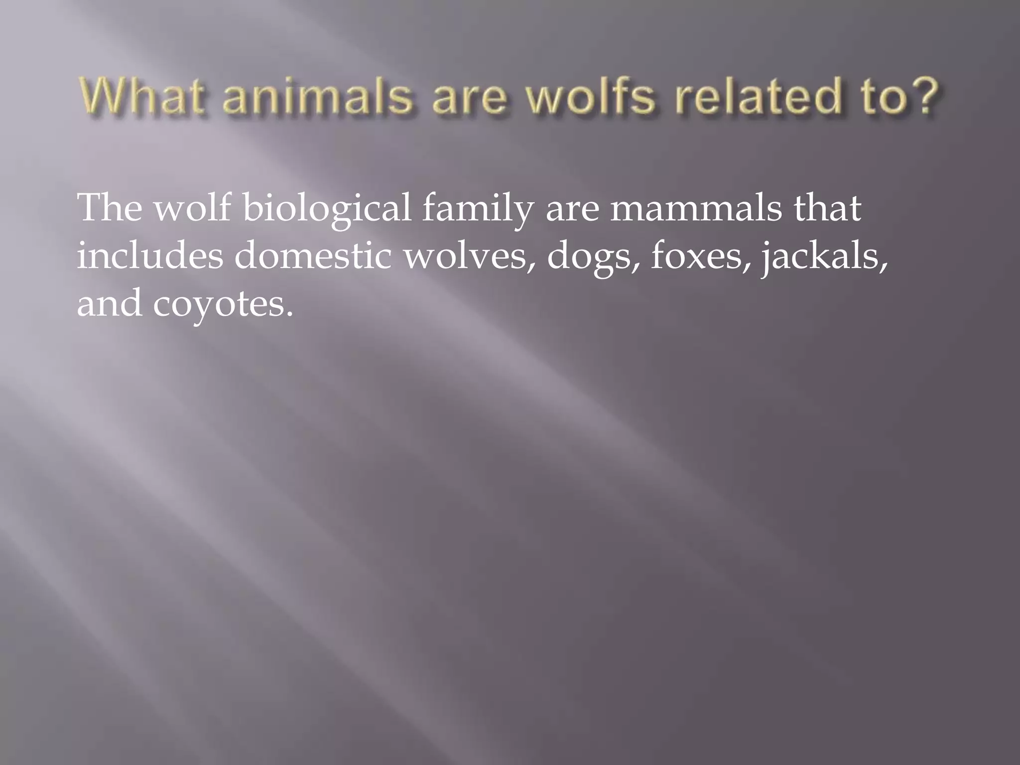 The wolf biological family are mammals that
includes domestic wolves, dogs, foxes, jackals,
and coyotes.
 