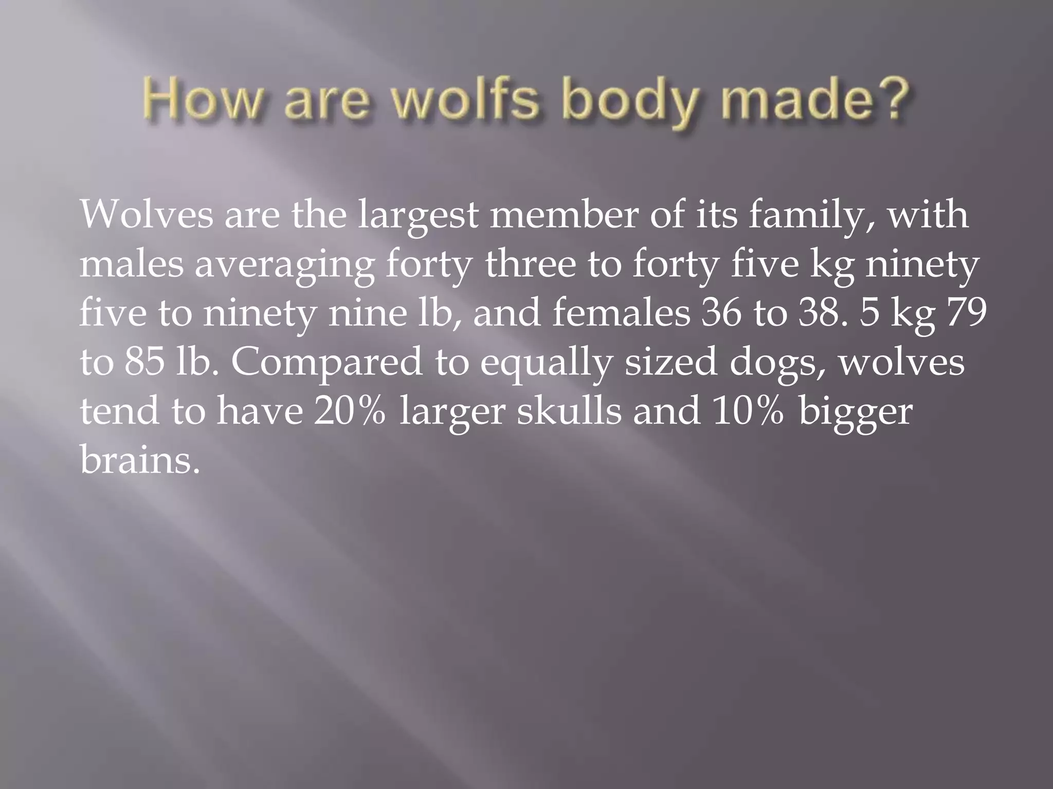 Wolves are the largest member of its family, with
males averaging forty three to forty five kg ninety
five to ninety nine lb, and females 36 to 38. 5 kg 79
to 85 lb. Compared to equally sized dogs, wolves
tend to have 20% larger skulls and 10% bigger
brains.
 