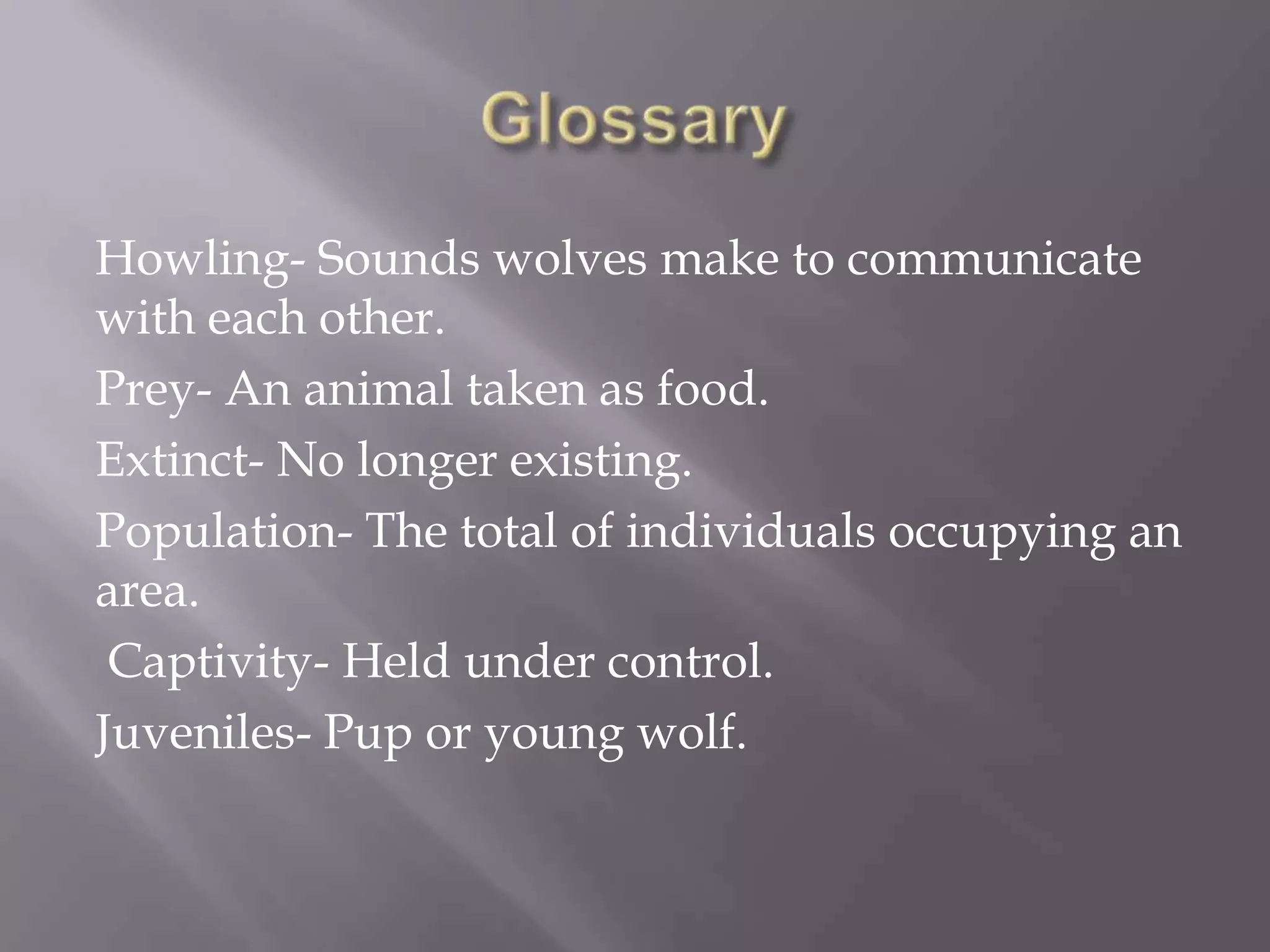 Howling- Sounds wolves make to communicate
with each other.
Prey- An animal taken as food.
Extinct- No longer existing.
Population- The total of individuals occupying an
area.
 Captivity- Held under control.
Juveniles- Pup or young wolf.
 