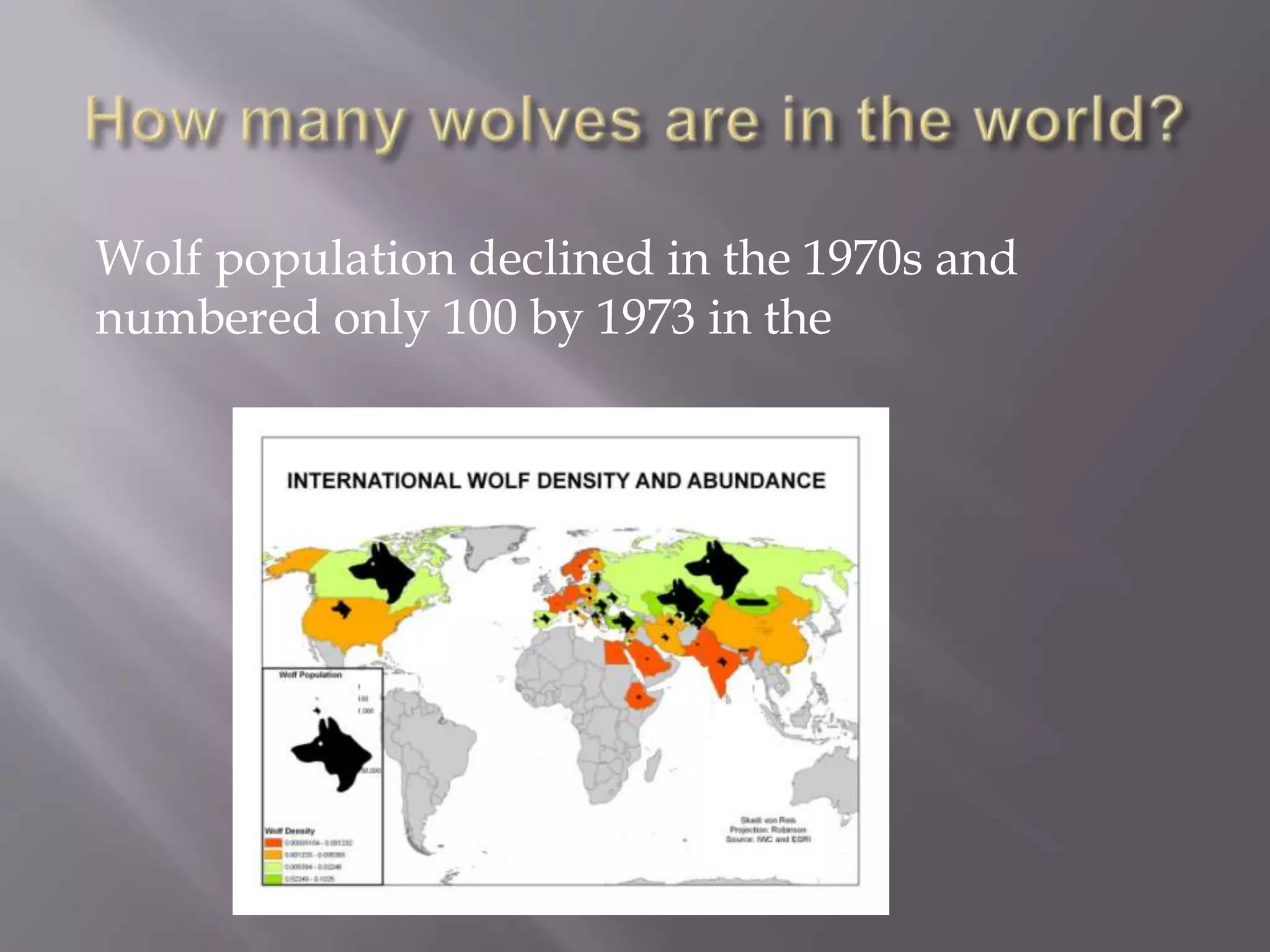 Wolf population declined in the 1970s and
numbered only 100 by 1973 in the
 