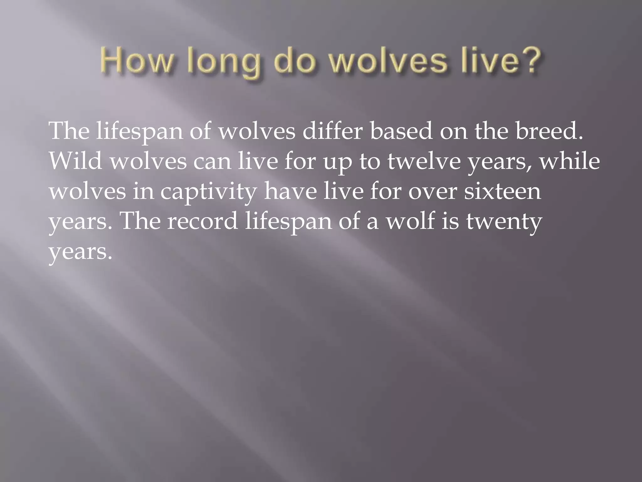 The lifespan of wolves differ based on the breed.
Wild wolves can live for up to twelve years, while
wolves in captivity have live for over sixteen
years. The record lifespan of a wolf is twenty
years.
 