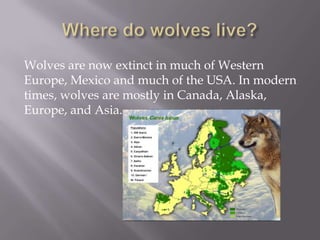 Wolves are now extinct in much of Western
Europe, Mexico and much of the USA. In modern
times, wolves are mostly in Canada, Alaska,
Europe, and Asia.
 