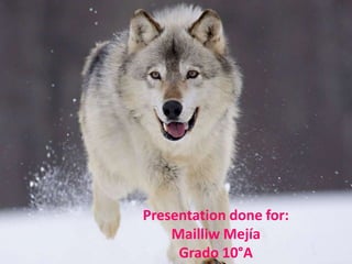 Presentation done for:
Mailliw Mejía
Grado 10°A
 