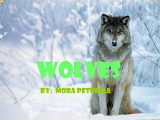 WOLVES
BY: MORA PETRELLA
 
