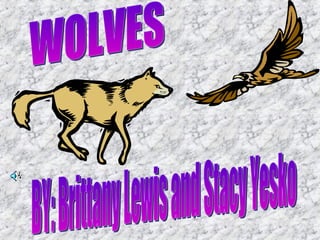BY: Brittany Lewis and Stacy Yesko WOLVES 