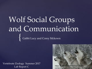 {
Wolf Social Groups
and Communication
Gabbi Lucy and Corey Mckown
Vertebrate Zoology Summer 2017
Lab Report C https://www.livingwithwolves.org/wp-
content/uploads/2014/08/kyngs4_0023_1.jpg
 