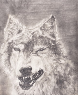 Wolves That Mona Lisa Smile Sm