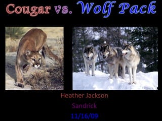 Cougarvs.Wolf Pack Heather Jackson Sandrick 11/16/09 