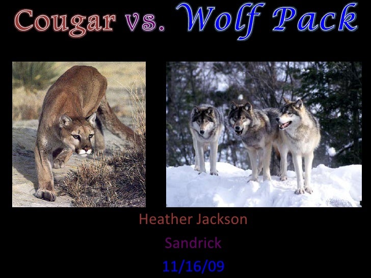 north jackson cougars personals Whether you are seeking just a date, a pen pal, a casual or a serious relationship , you can meet singles in jackson today mississippi is known as the magnolia. north jackson cougars personals Whether you are seeking just a date, a pen pal, a casual or a serious relationship , you can meet singles in jackson today mississippi is known as the magnolia.