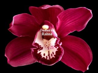 Created by Raissa 
