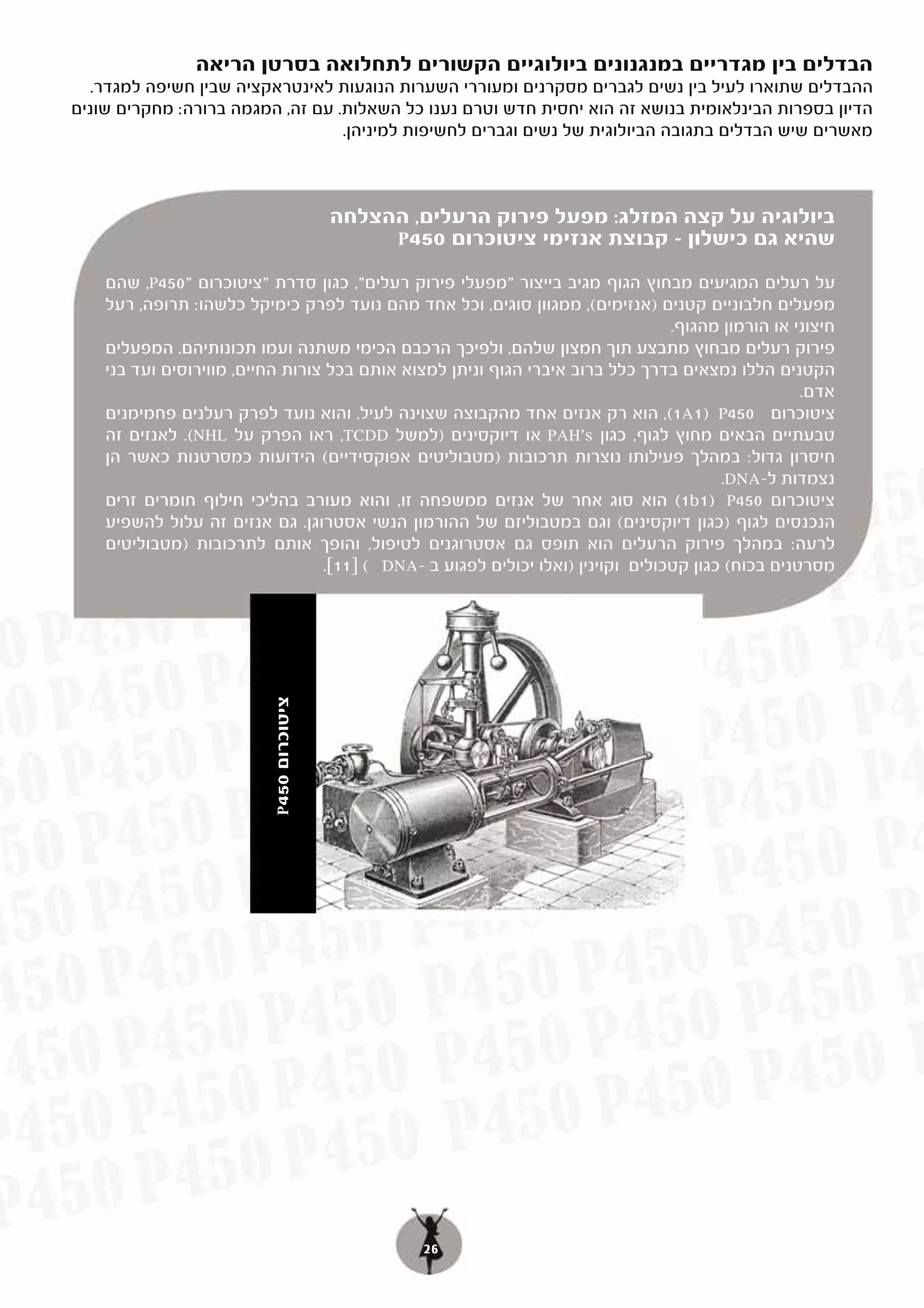 ‫הבדלים בין מגדריים במנגנונים ביולוגיים הקשורים לתחלואה בסרטן הריאה‬
   ‫ההבדלים שתוארו לעיל בין נשים לגברים מסקרנים ומעוררי השערות הנוגעות לאינטראקציה שבין חשיפה למגדר.‬
‫הדיון בספרות הבינלאומית בנושא זה הוא יחסית חדש וטרם נענו כל השאלות. עם זה, המגמה ברורה: מחקרים שונים‬
                                  ‫מאשרים שיש הבדלים בתגובה הביולוגית של נשים וגברים לחשיפות למיניהן.‬



                                           ‫ביולוגיה על קצה המזלג: מפעל פירוק הרעלים, ההצלחה‬
                                                ‫שהיא גם כישלון – קבוצת אנזימי ציטוכרום 054‪P‬‬
    ‫על רעלים המגיעים מבחוץ הגוף מגיב בייצור "מפעלי פירוק רעלים", כגון סדרת "ציטוכרום "054‪ ,P‬שהם‬
    ‫מפעלים חלבוניים קטנים )אנזימים(, ממגוון סוגים, וכל אחד מהם נועד לפרק כימיקל כלשהו: תרופה, רעל‬
                                                                                  ‫חיצוני או הורמון מהגוף.‬
    ‫פירוק רעלים מבחוץ מתבצע תוך חמצון שלהם, ולפיכך הרכבם הכימי משתנה ועמו תכונותיהם. המפעלים‬
    ‫הקטנים הללו נמצאים בדרך כלל ברוב איברי הגוף וניתן למצוא אותם בכל צורות החיים, מווירוסים ועד בני‬
                                                                                                    ‫אדם.‬
    ‫ציטוכרום 054‪ P‬י)1‪ ,(1A‬הוא רק אנזים אחד מהקבוצה שצוינה לעיל, והוא נועד לפרק רעלנים פחמימנים‬
    ‫טבעתיים הבאים מחוץ לגוף, כגון ‪ PAH's‬או דיוקסינים )למשל ‪ ,TCDD‬ראו הפרק על ‪ .(NHL‬לאנזים זה‬
    ‫חיסרון גדול: במהלך פעילותו נוצרות תרכובות )מטבוליטים אפוקסידיים( הידועות כמסרטנות כאשר הן‬
                                                                                         ‫נצמדות ל-‪.DNA‬‬
    ‫( הוא סוג אחר של אנזים ממשפחה זו, והוא מעורב בהליכי חילוף חומרים זרים‬          ‫ציטוכרום 054‪ P‬י)1‪(1b‬‬
    ‫הנכנסים לגוף )כגון דיוקסינים( וגם במטבוליזם של ההורמון הנשי אסטרוגן. גם אנזים זה עלול להשפיע‬
    ‫לרעה: במהלך פירוק הרעלים הוא תופס גם אסטרוגנים לטיפול, והופך אותם לתרכובות )מטבוליטים‬
                                  ‫מסרטנים בכוח( כגון קטכולים וקוינין )ואלו יכולים לפגוע ב -‪DNA‬ל ( ]11[.‬
                           ‫ציטוכרום 054‪P‬‬




                                                   ‫62‬
 