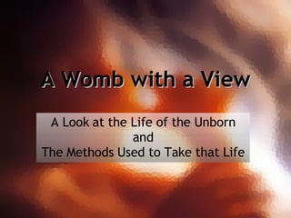 A Womb with a View A Look at the Life of the Unborn and The Methods Used to Take that Life 