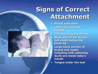 Signs of Correct Attachment Mouth wide open  Lower lip is turned outside Chin touching the breast  Black part of the breast not visible below the lower lip Large black portion of breast and nipple including milk collecting ducts are inside baby’s mouth Tongue under the teat 