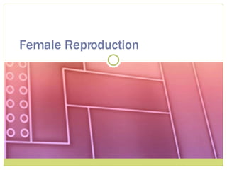 Female Reproduction 