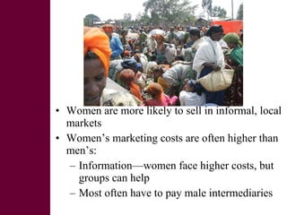 Women and livestock:  a research initiative