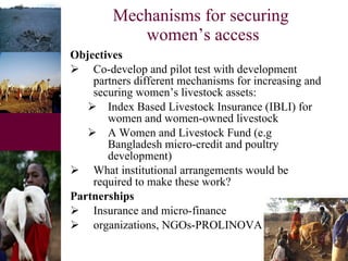 Women and livestock:  a research initiative