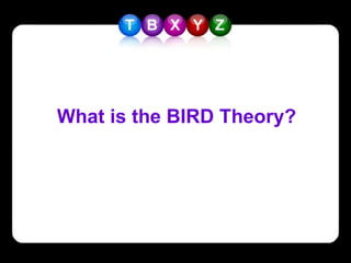 What is the BIRD Theory? 
