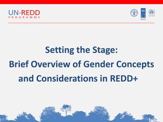 Setting the Stage:
Brief Overview of Gender Concepts
and Considerations in REDD+
 