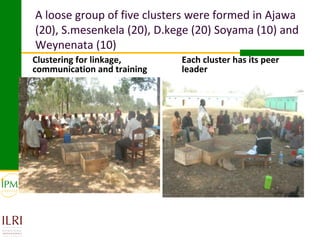 Womens group-based pullet supply business development in selected kebeles of Dale Pilot Learning Woreda, Ethiopia