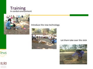 Womens group-based pullet supply business development in selected kebeles of Dale Pilot Learning Woreda, Ethiopia