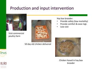 Womens group-based pullet supply business development in selected kebeles of Dale Pilot Learning Woreda, Ethiopia