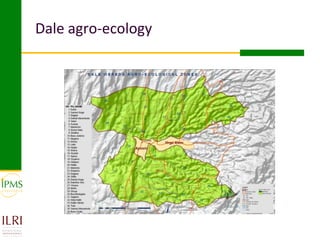 Womens group-based pullet supply business development in selected kebeles of Dale Pilot Learning Woreda, Ethiopia