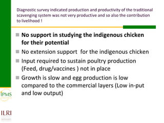 Womens group-based pullet supply business development in selected kebeles of Dale Pilot Learning Woreda, Ethiopia