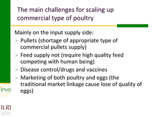 Womens group-based pullet supply business development in selected kebeles of Dale Pilot Learning Woreda, Ethiopia