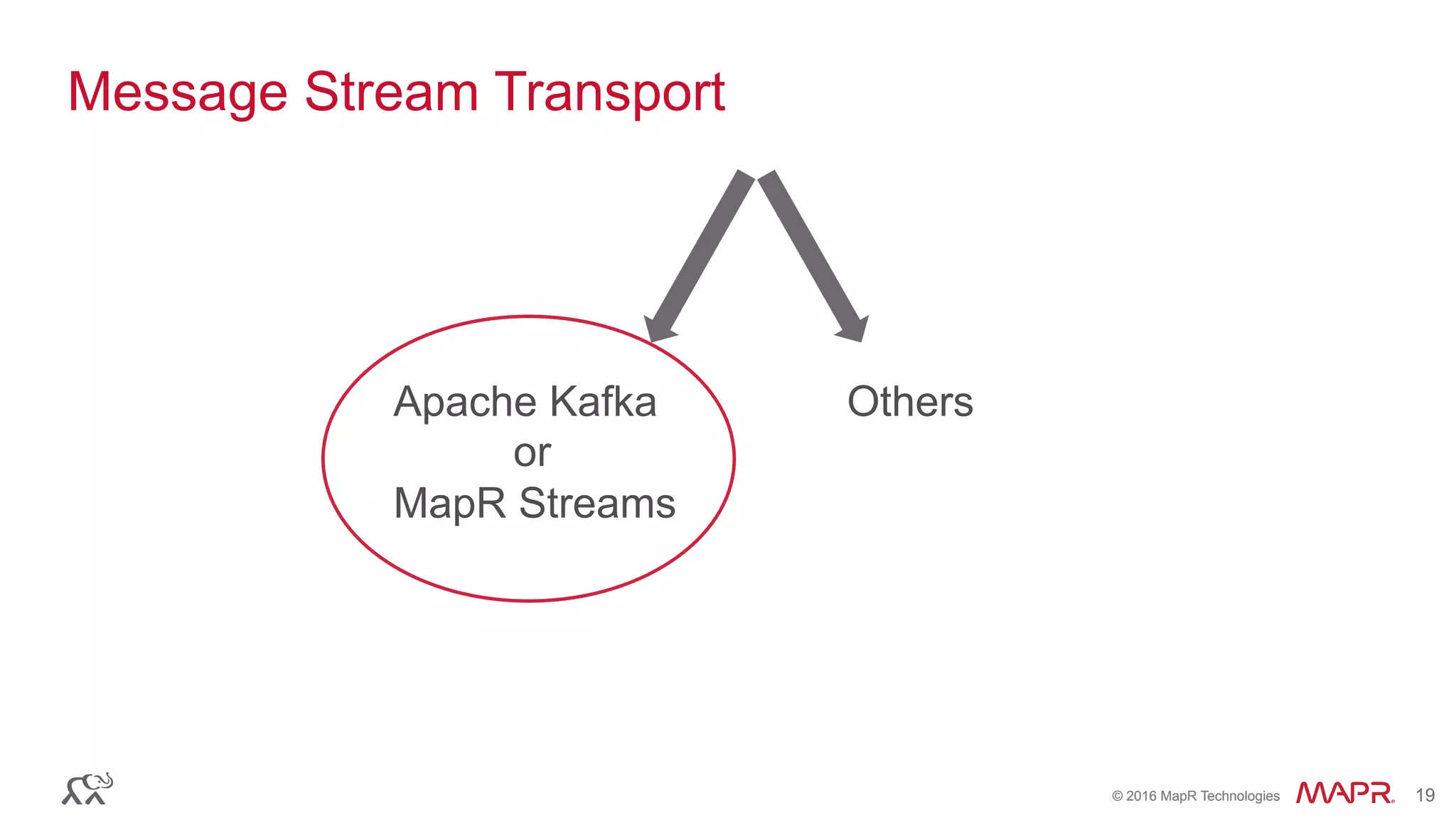 ®
© 2016 MapR Technologies 19®
© 2016 MapR Technologies 19
Message Stream Transport
Apache Kafka
or
MapR Streams
Others
 