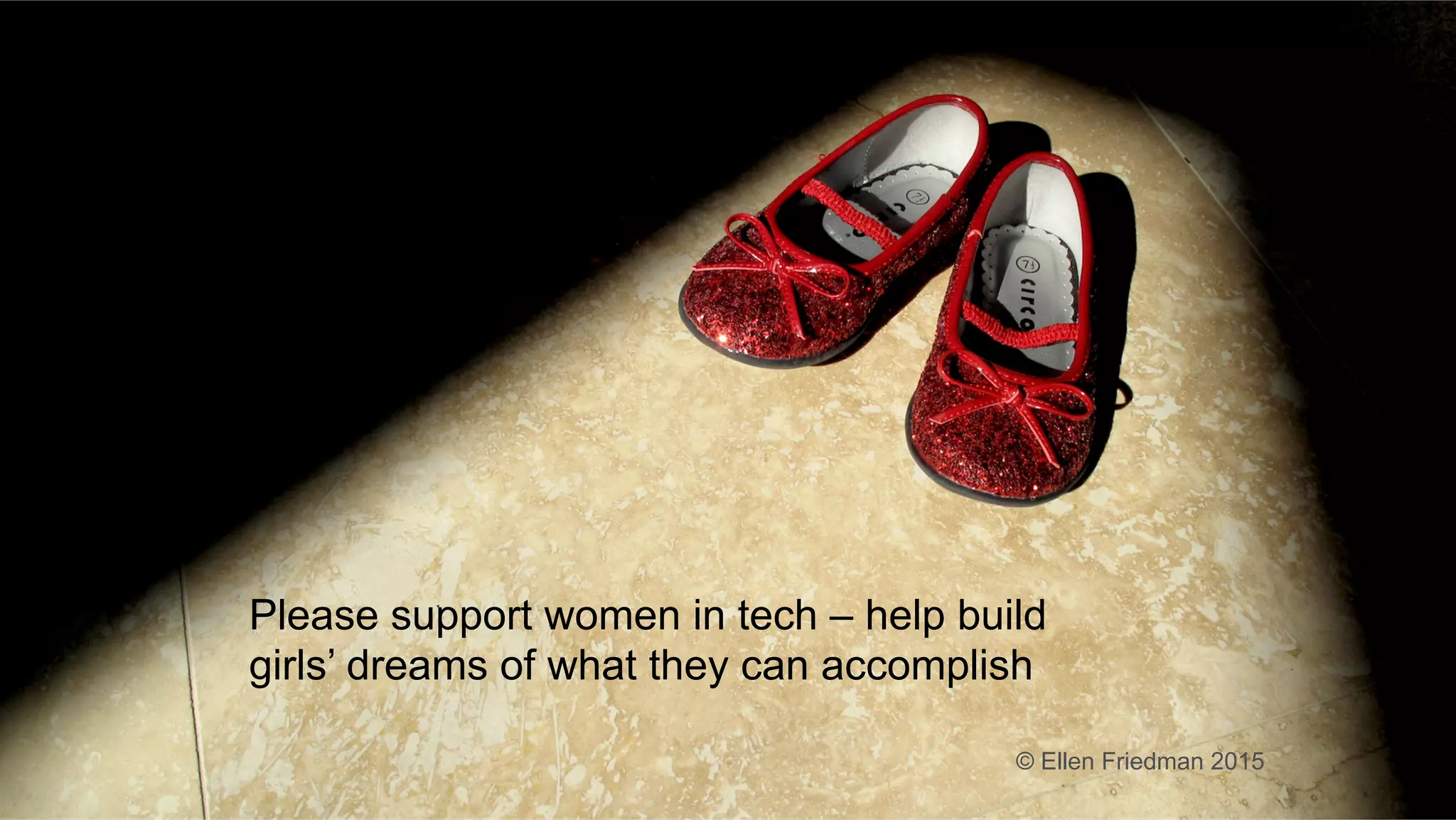 ®
© 2016 MapR Technologies 45®
© 2016 MapR Technologies 45
Please support women in tech – help build
girls’ dreams of what they can accomplish
© Ellen Friedman 2015
 