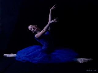 ThePlantLady - Flickr
 