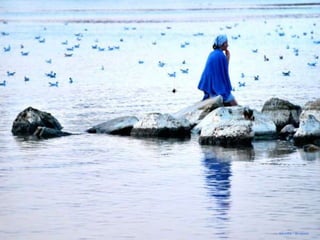 Silvestru - deviantart
 