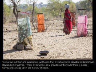Women leader from Rajasthan - Story of Mrs Rameshwari