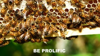 BE PROLIFIC
 