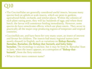 Q10
• The Coccinellidae are generally considered useful insects, because many
species feed on aphids or scale insects, which are pests in gardens,
agricultural fields, orchards, and similar places. Within the colonies of
such plant-eating pests, they will lay hundreds of eggs, and when these
hatch, the larvae will commence feeding immediately. However, some
species do have unwelcome effects; which are plant eaters.. They occur in
practically all the major crop-producing regions of temperate and tropical
countries.
• Coccinellids are, and have been for very many years, an insect of interest
and favour for children. The insects had many regional names (now
mostly disused) in English, such as variations on Bishop-Barnaby,
Barnabee, Burnabee, the Bishop-that-burneth, and bishy bishy
barnabee. The etymology is unclear, but it may be from St. Barnabas' feast
in June, when the insect appears, or a corruption of "Bishop-that-
burneth", from the fiery exterior.
• What is their more common name?
 