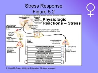Stress Response Figure 5.2 